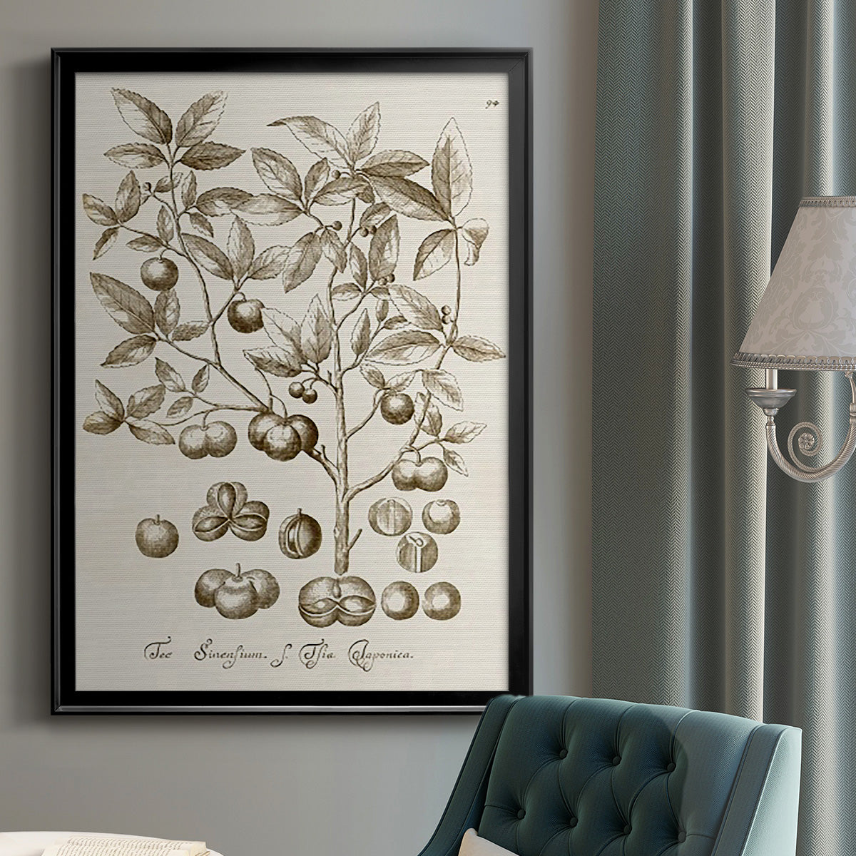 Sepia Botanical Journal II - Modern Framed Canvas Print