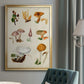 Mushroom Species VI - Modern Framed Canvas Print