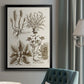 Sepia Botanical Journal VII - Modern Framed Canvas Print