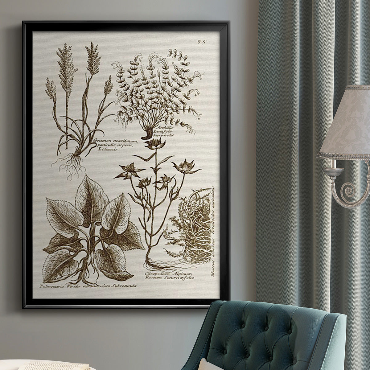 Sepia Botanical Journal VII - Modern Framed Canvas Print