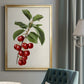 Antique Fruit II - Modern Framed Canvas Print