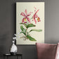 Pink Cattleya Orchid Premium Gallery Wrapped Canvas - Ready to Hang