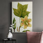 Antique Flowering Trees IV Premium Gallery Wrapped Canvas - Ready to Hang