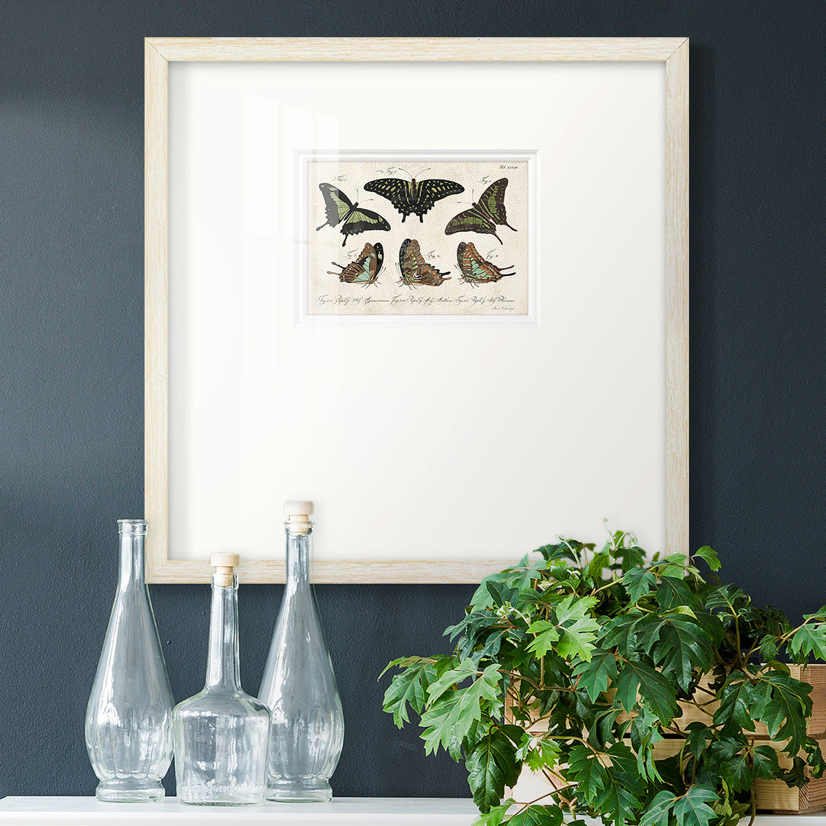 Crackled Butterflies II Premium Framed Print Double Matboard