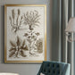 Sepia Botanical Journal VII - Modern Framed Canvas Print