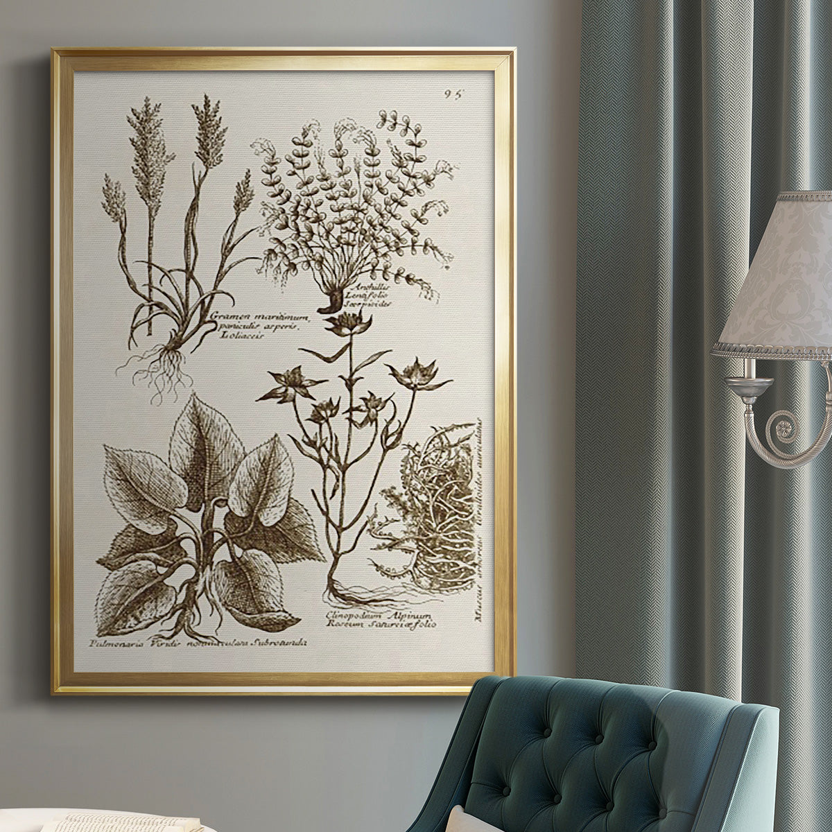 Sepia Botanical Journal VII - Modern Framed Canvas Print