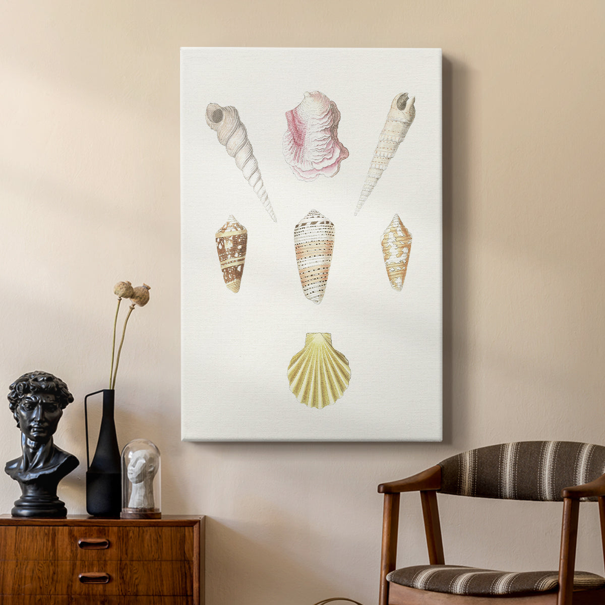 Pastel Knorr Shells I - Canvas Art Print