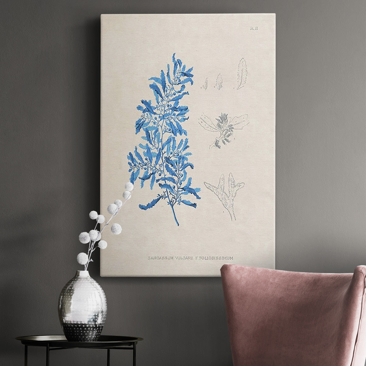 Blue Marine Algae VI - Canvas Art Print