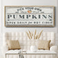Pumpkin Patch I - Floater Framed Canvas Print