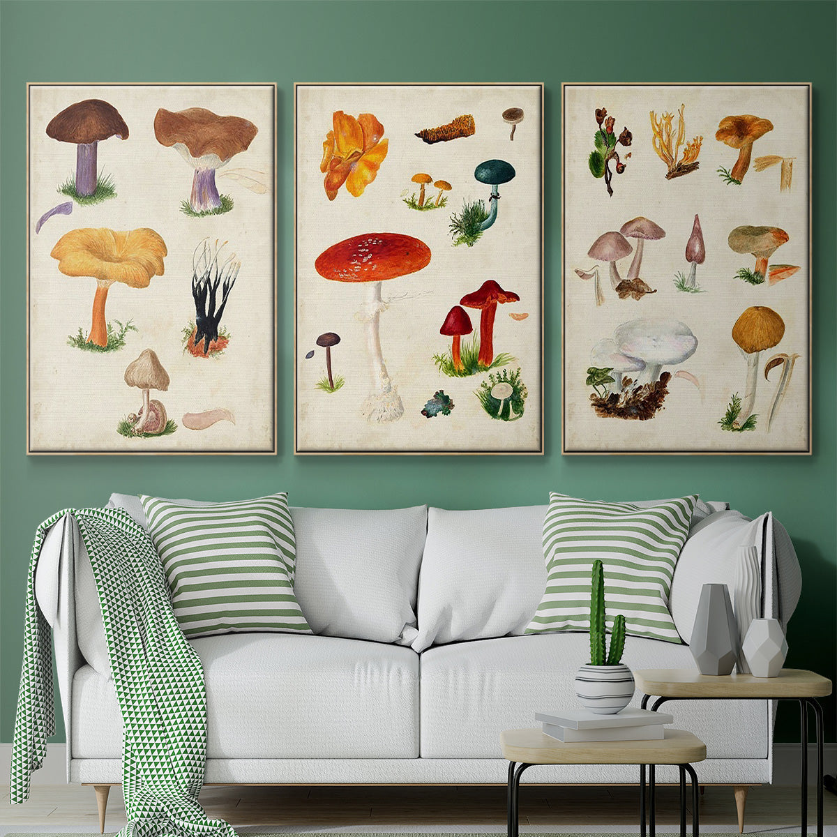 Mushroom Species IV - Framed Premium Gallery Wrapped Canvas L Frame 3 Piece Set - Ready to Hang