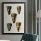 Cone Shell Collection V - Modern Framed Canvas Print
