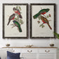 Elegant Trogons V - Premium Framed Canvas 2 Piece Set - Ready to Hang