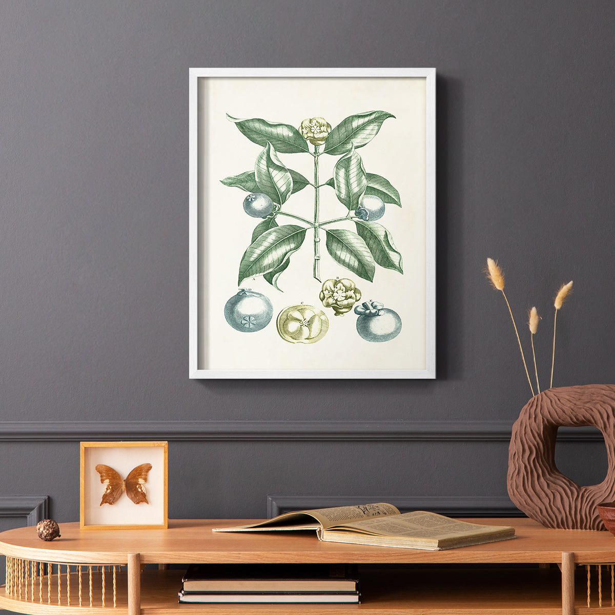 Buchoz Tropicals VII - Restickable Framed Art Print