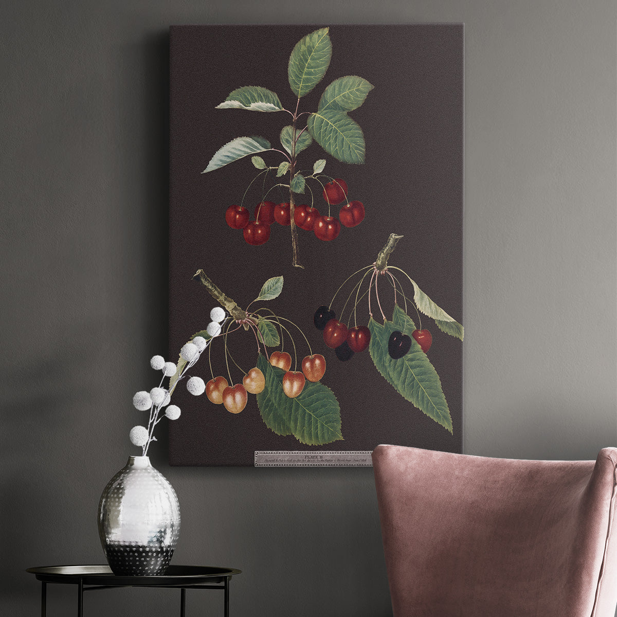 Brookshaw Cherries - Canvas Art Print