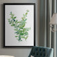 Eucalyptus III - Modern Framed Canvas Print
