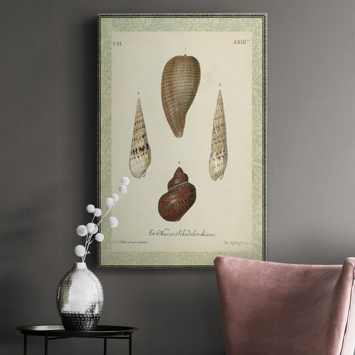 Bookplate Shells V Premium Gallery Wrapped Canvas - Ready to Hang