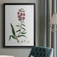 Rose Botanical I - Modern Framed Canvas Print