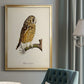 French Owls II - Modern Framed Canvas Print