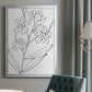 Botanical Sketch I - Modern Framed Canvas Print