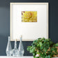 Blooms I Premium Framed Print Double Matboard