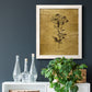 Gold Sketch Botanical II - Barnwood Framed Canvas Print