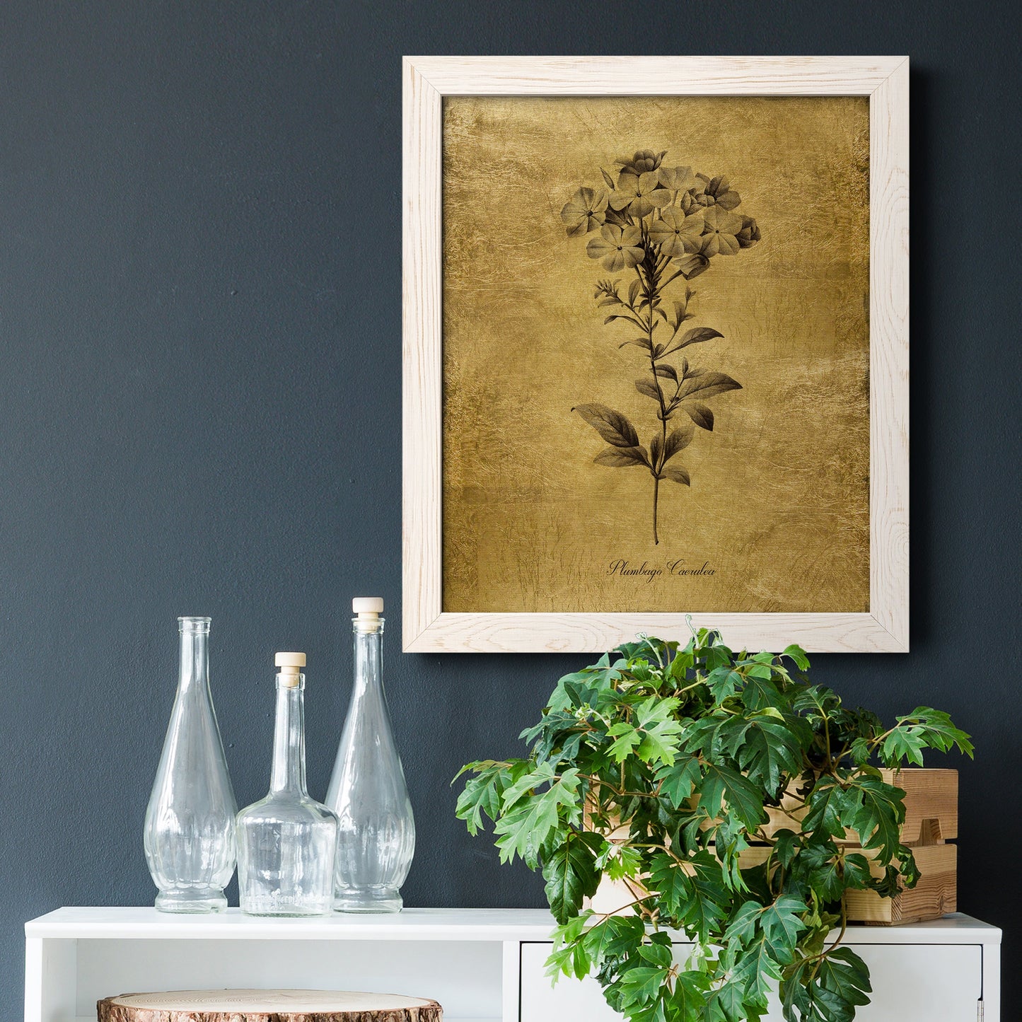 Gold Sketch Botanical II - Barnwood Framed Canvas Print