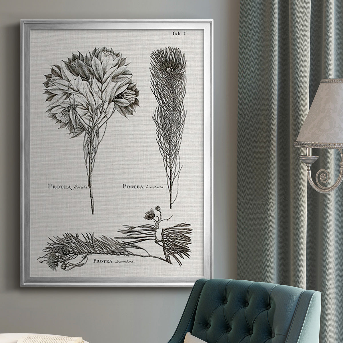Black & White Protea on Linen I - Modern Framed Canvas Print