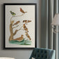 Antique Birds in Nature III - Modern Framed Canvas Print