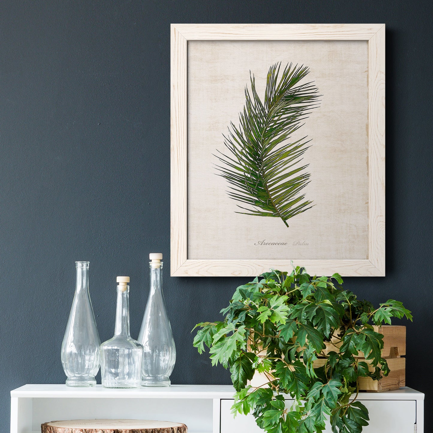 Palm Botanical II - Premium Canvas Framed in Barnwood - Ready to Hang