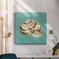 Shell on Aqua I - Canvas Art Print