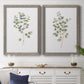 Eucalyptus I   - Premium Framed Canvas 2 Piece Set - Ready to Hang