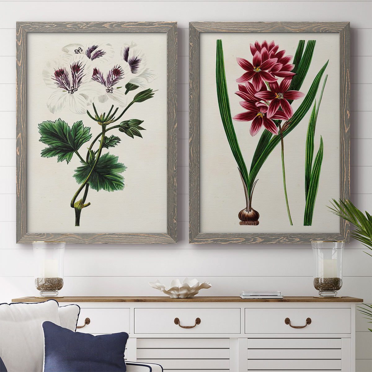 Set of two gray barnwood framed canvas prints depicting a coordinated art pair of colorful flowering plant specimens rendered as antique botanical plate illustrations above a dining room sideboard.