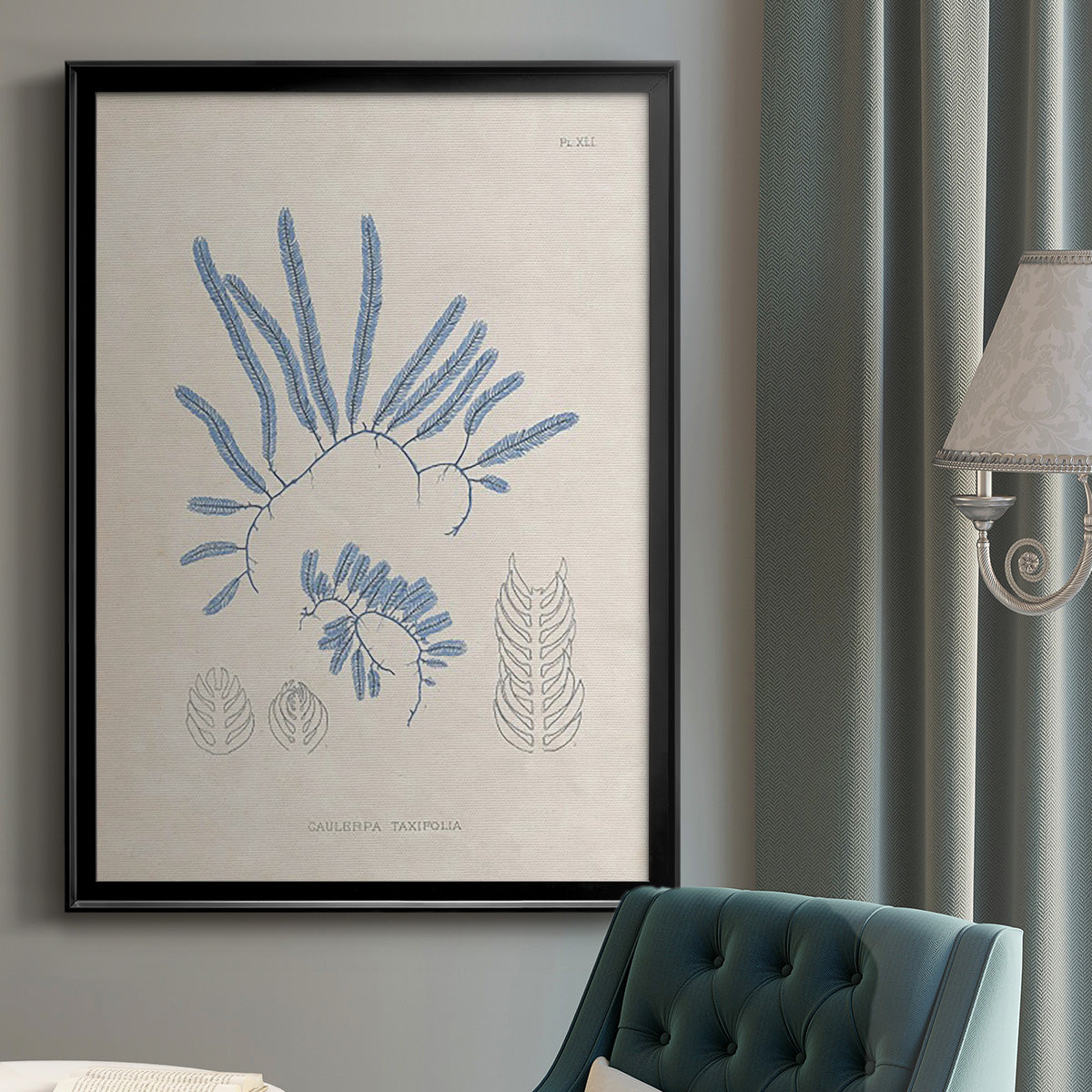 Blue Marine Algae II - Modern Framed Canvas Print