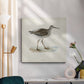 Morris Sandpipers V - Canvas Art Print