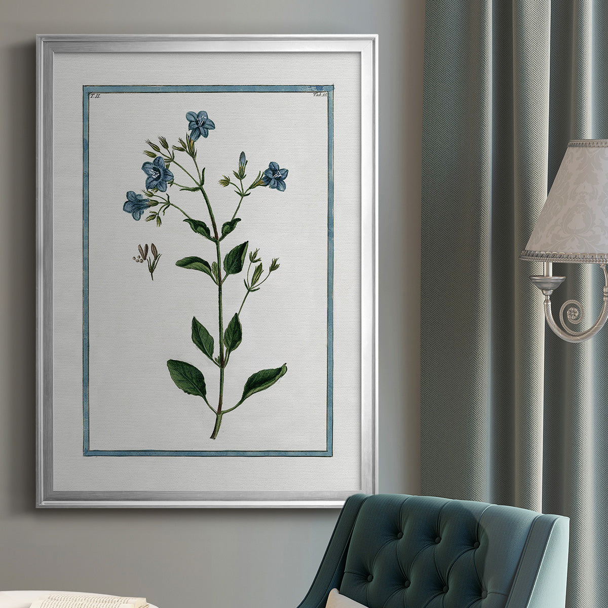 Shabby Chic Botanical II - Modern Framed Canvas Print