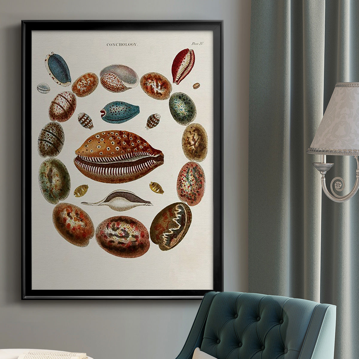 Spiral Shell Formation II - Modern Framed Canvas Print