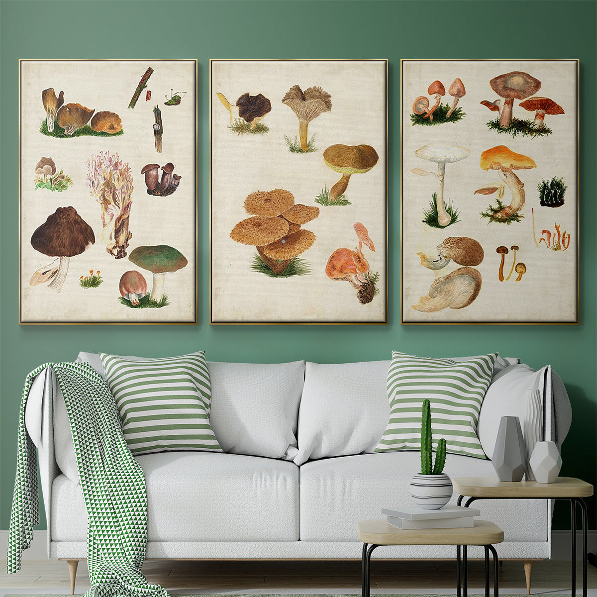 Mushroom Species I - Framed Premium Gallery Wrapped Canvas L Frame 3 Piece Set - Ready to Hang