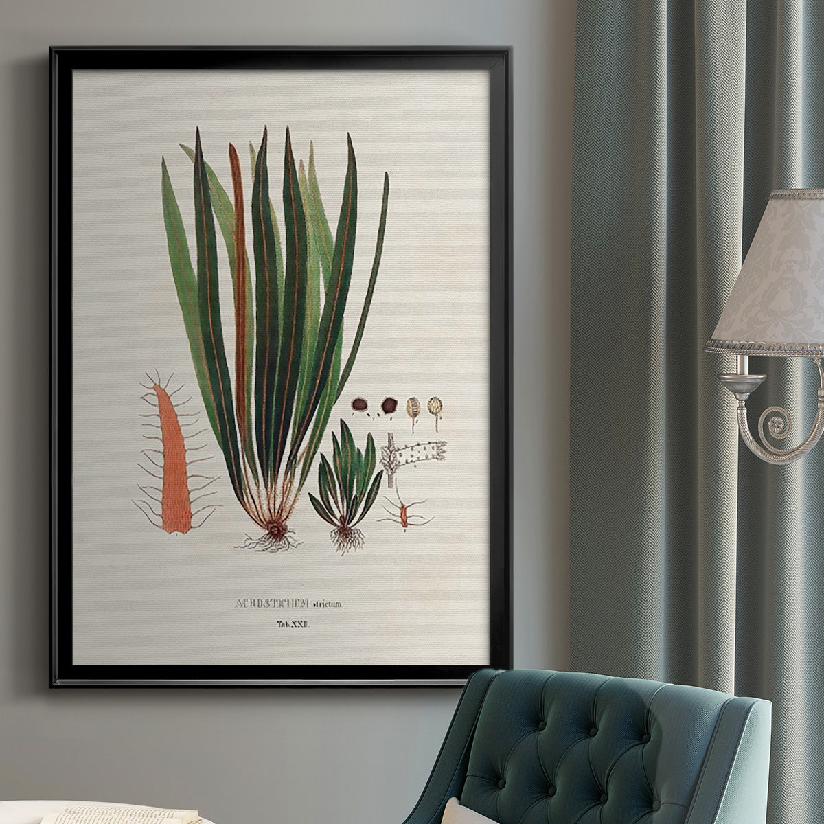 Botanical Society Ferns V - Modern Framed Canvas Print