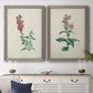 Traditional Botanical I - Premium Framed Canvas 2 Piece Set - Ready to Hang