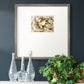 Neutral Wall Flower II - Double Matboard Framed Print