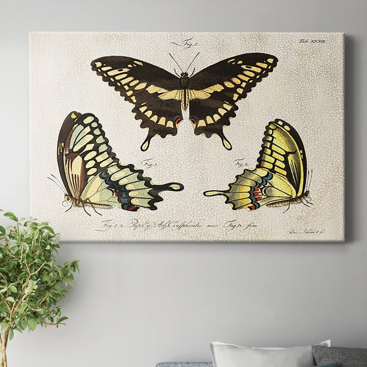 Crackled Butterflies I Premium Gallery Wrapped Canvas - Ready to Hang