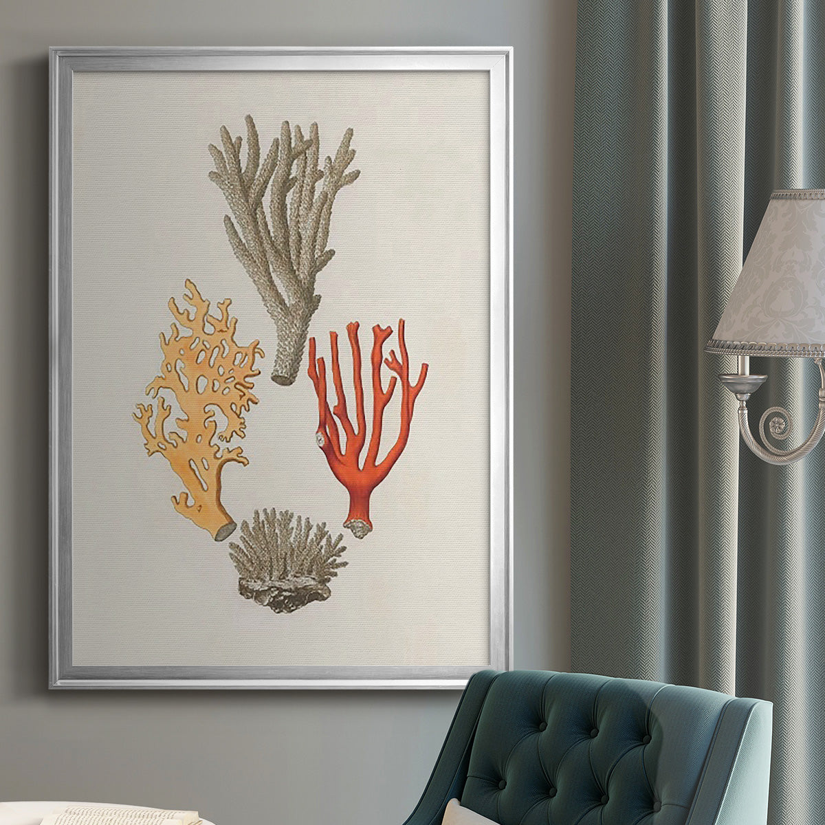 Knorr Shells & Coral IV - Modern Framed Canvas Print