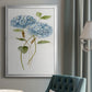 Petite Blue Hydrangea II - Modern Framed Canvas Print
