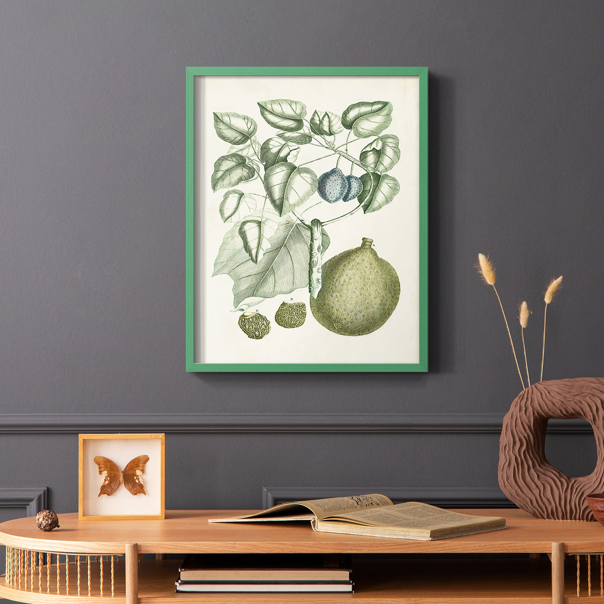 Buchoz Tropicals VIII - Restickable Framed Art Print