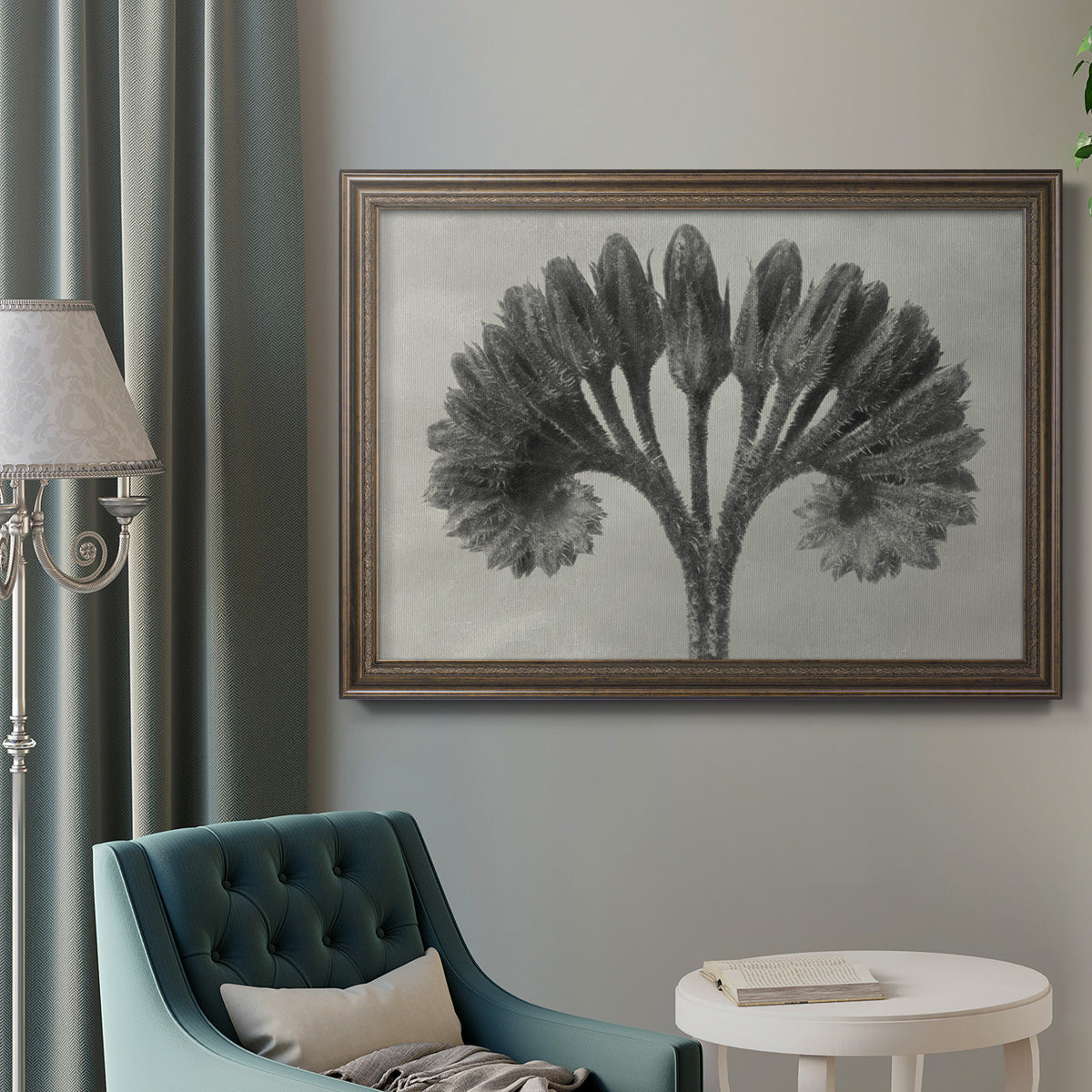 Vintage botanical plant study photograph by Karl Blossfeldt in an ornate traditional bronze frame displayed in a neutral interior setting.