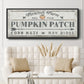 Pumpkin Patch II - Floater Framed Canvas Print