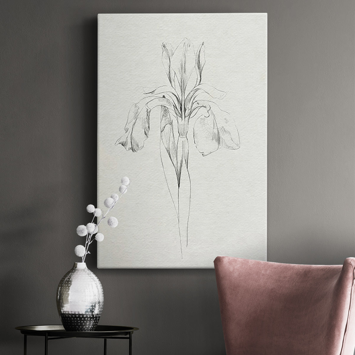 Neutral Iris Sketch I - Canvas Art Print