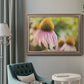 Echinacea Study II Premium Framed Canvas- Ready to Hang