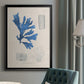 Blue Marine Algae VIII - Modern Framed Canvas Print