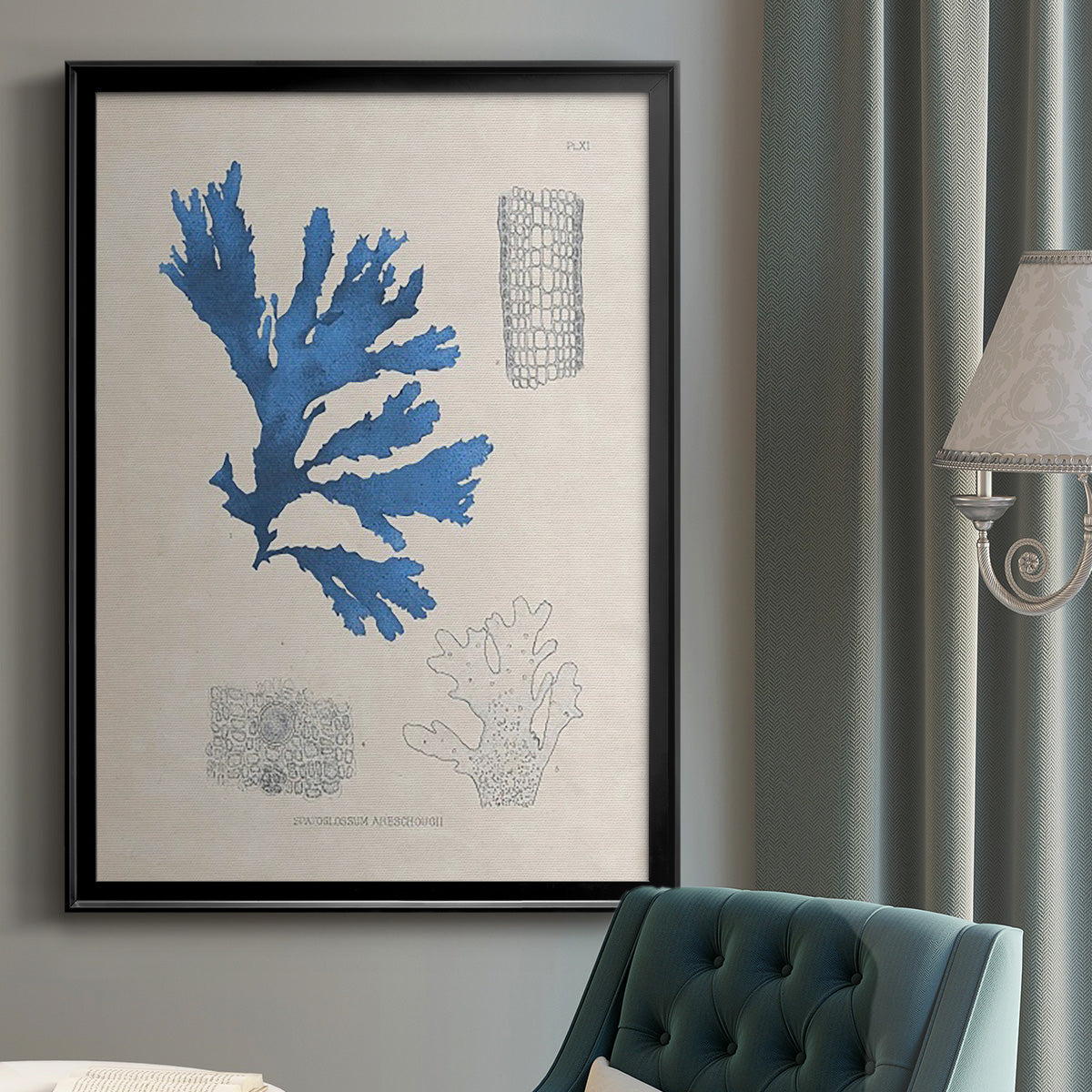 Blue Marine Algae VIII - Modern Framed Canvas Print